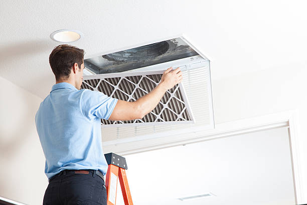 Best Air Filters and Purifiers in Andalusia, IL
